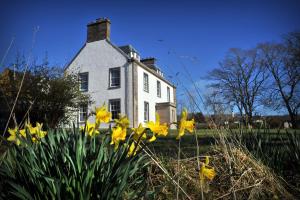a white house with yellow flowers in front of it at Marmalade in Portree