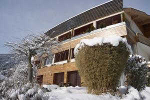 Hotel Sonnenheim v zimě