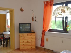 Zimmer mit einem TV auf einer Kommode und einem Fenster in der Unterkunft Cosy apartment in Frauenwald near forest in Frauenwald