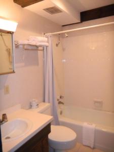 a bathroom with a sink and a toilet and a shower at Top of the Beech Inn in Beech Mountain