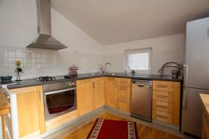 Kuchyň nebo kuchyňský kout v ubytování Guesthouse Rota