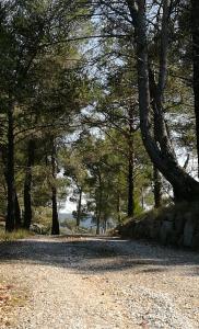 Imagen de la galería de La Pinède du Lac, en Esparron-de-Verdon