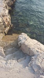 Fotografie z fotogalerie ubytování Apartments Monika v destinaci Vinišće