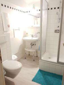 ein Bad mit einem WC, einem Waschbecken und einer Dusche in der Unterkunft Gemütliche 4 Zimmer Whg in der Residenz Elisabeth in Bad Ischl