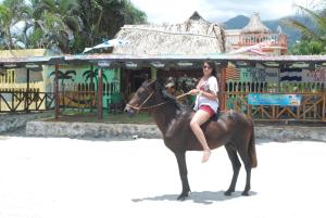 Animales en el hotel o alrededores