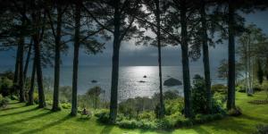 特立尼达迷失鲸鱼住宿加早餐旅馆的从树木繁茂的公园欣赏海景