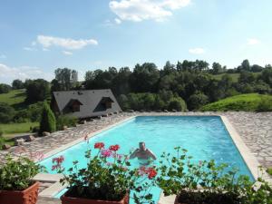 a man is in a swimming pool with flowers at villa with swimming pool in the hilly landscape in Pecka