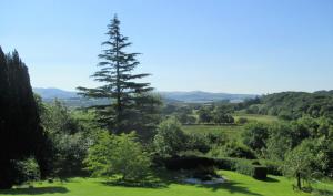 
a forest with trees and a mountain range at Plas Tan-Yr-Allt Historic Country House in Porthmadog
