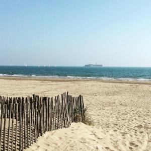 カップ・ダグドにあるRésidence les Sables D'orの海を背景に海岸の柵