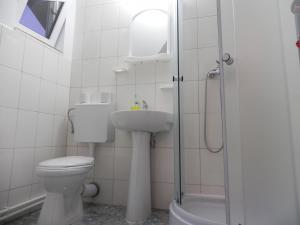 a bathroom with a toilet and a sink and a shower at Pension Puiu in Dunavăţu de Jos