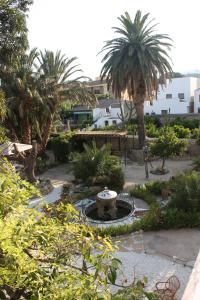 a garden with a fountain and palm trees at Hotel Casa Ceremines in Xerta