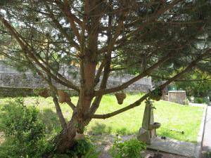 Gallery image of Posada La Anjana in Puente Viesgo