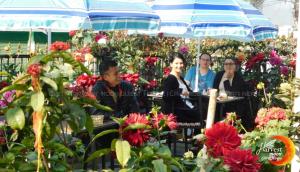 Clients de Harvest Moon Guest House