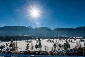 un campo cubierto de nieve con el sol en el cielo en Cornelia Deluxe Residence, en Bansko