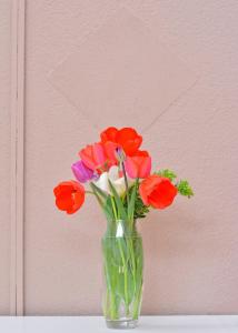 Billede fra billedgalleriet på Plitvicka Vrela i Grabovac