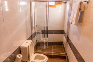 a bathroom with a toilet and a shower at Lindos SeaView Apartment in Lindos