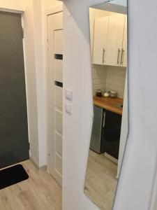 Kuchnia lub aneks kuchenny w obiekcie Apartament Żelazna
