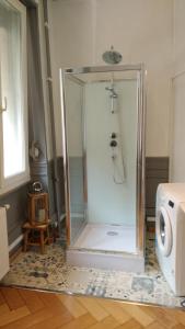 - une douche avec une enceinte en verre dans l'établissement Appartement Colmar Centre Le 4, à Colmar