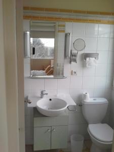 プレスタン・レ・グレーヴにあるLes Roches d'Argentのバスルーム(洗面台、トイレ、鏡付)