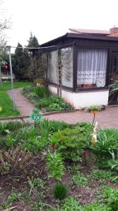 Zahrada ubytování Ferienhaus Krähmer