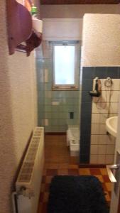 Koupelna v ubytování Ferienhaus Krähmer