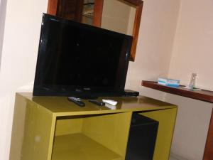 TV a/nebo společenská místnost v ubytování Botanika Hotel