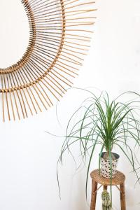 a plant on a stool next to a mirror at Cestaria Costa Nova in Costa Nova