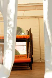 
A bunk bed or bunk beds in a room at THE TENT - Youth Only!
