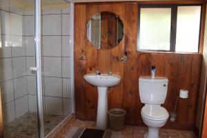 a bathroom with a toilet and a sink and a mirror at Die Suidwester Gastehuis in Parys