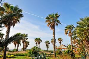 Zahrada ubytování Hôtel Miléade Méditerranée - Port-Fréjus