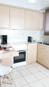 Kuchyňa alebo kuchynka v ubytovaní Errathens Wheat Apartment - Athens Center, 3 BD, 1 BATH