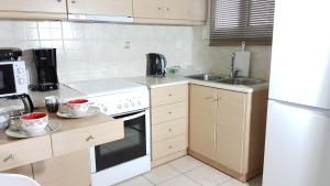 Kuchyňa alebo kuchynka v ubytovaní Errathens Wheat Apartment - Athens Center, 3 BD, 1 BATH