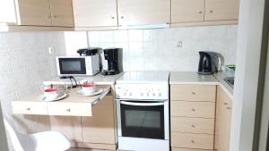 Kuchyňa alebo kuchynka v ubytovaní Errathens Wheat Apartment - Athens Center, 3 BD, 1 BATH