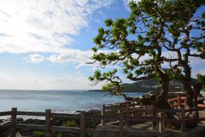 a tree on the beach near the ocean at Funson Hotel in Eluan