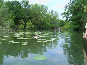 two people in a river with lily pads in the water at Ferienwohnung Abendsonne am Europa-Park in Rheinhausen