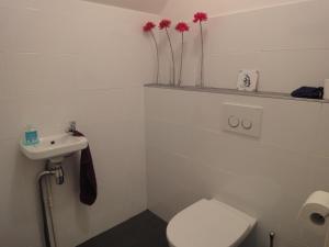 a white bathroom with a toilet and a sink at Riethove in Harlingen +20 photos