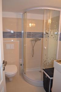 un baño con ducha y WC en Bastion Apartament 5, en Timisoara 10 fotos más