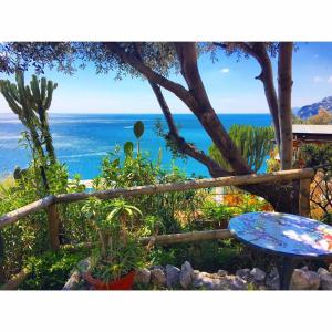 a view of the ocean from a garden with a table at Albergo La Conca Azzurra in Conca dei Marini