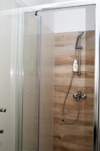 La salle de bains est pourvue d'une douche et d'une porte en verre. dans l'établissement Apartment Sibenik with free parking, à Šibenik