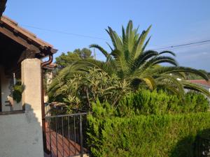 una palmera frente a una valla en Belvilla by OYO Les Oliveres 32, en L'Estartit