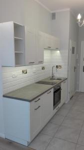 Kuchyňa alebo kuchynka v ubytovaní Apartament Matejki
