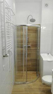 Kúpeľňa v ubytovaní Apartament Matejki