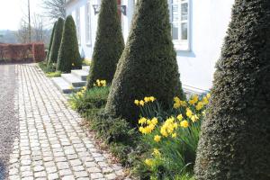 Zahrada ubytování Louiselund Bed & Breakfast
