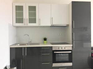 Kuchyň nebo kuchyňský kout v ubytování Apartmani Orhideja