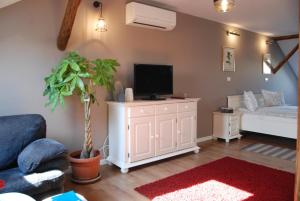 - un salon avec un canapé et une télévision sur une armoire dans l'établissement Apartment House Timisoara, à Timişoara