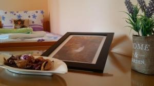 Postel nebo postele na pokoji v ubytování Osterija Na Planinci