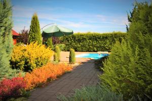 um jardim com uma piscina e um guarda-sol em Vila Lipno em Frymburk