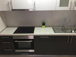 Kuchyň nebo kuchyňský kout v ubytování Apartmani Orhideja