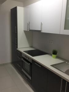 Kuchyň nebo kuchyňský kout v ubytování Apartmani Orhideja