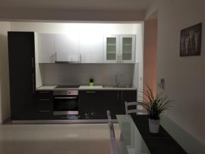 Kuchyň nebo kuchyňský kout v ubytování Apartmani Orhideja